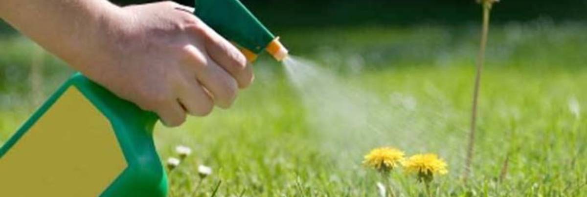 diserbante per tarassico