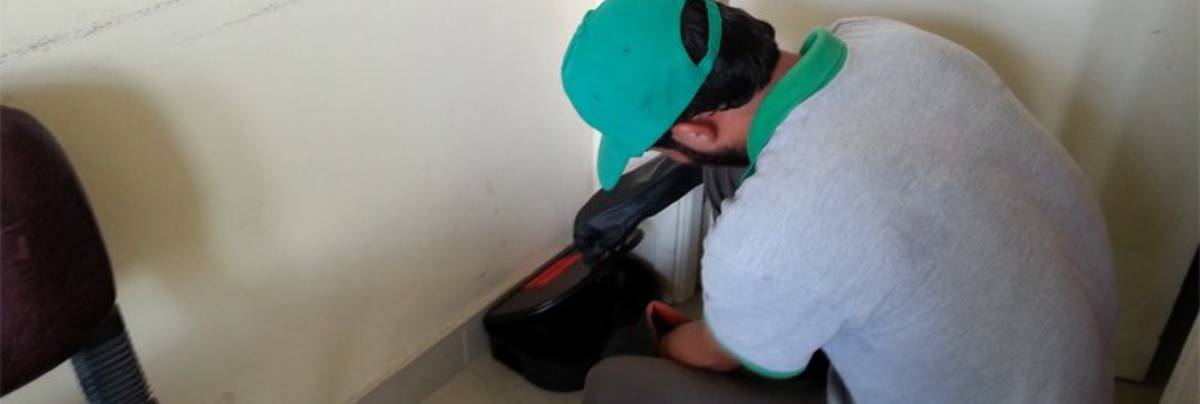 derattizzazione efficace novara