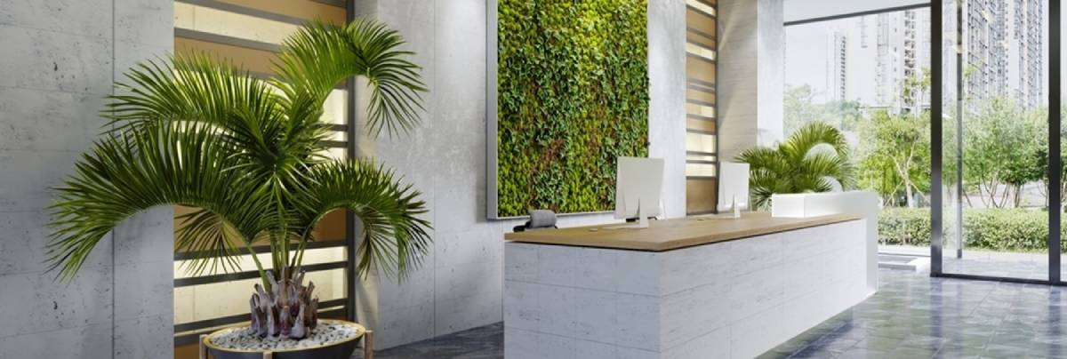 noleggio piante milano