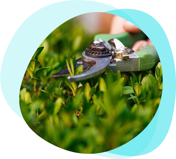 Cura del verde Lombardia