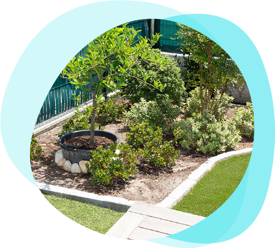 Noleggio e vendita piante arredo