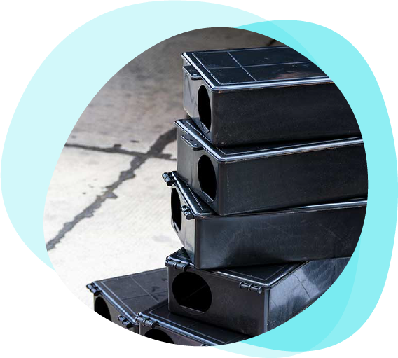 Servizio Derattizzazione